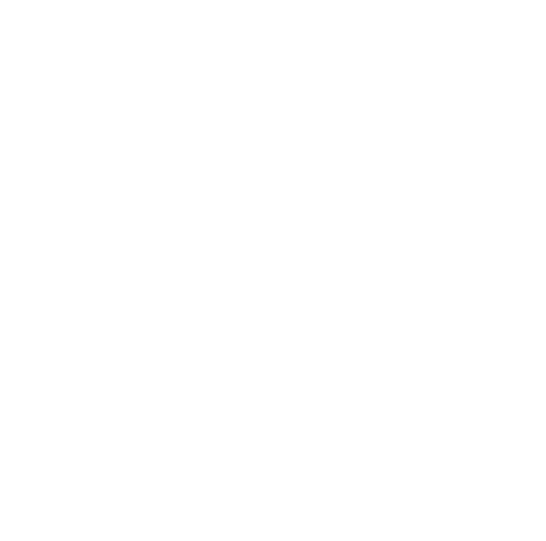 Odoo Customization