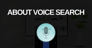 Voice Search 